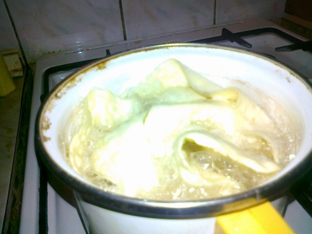 Gemerské ruže - obrázok 7