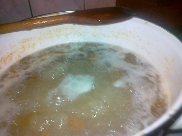 Zo všetkého troška - obrázok 5