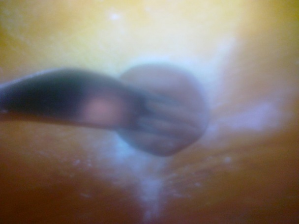 Pudingové drobné pečivo - obrázok 4