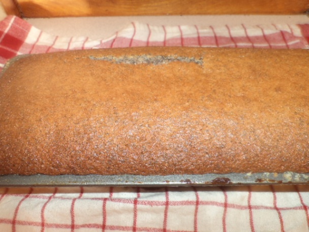 Makový srnčí chrbát - obrázok 4