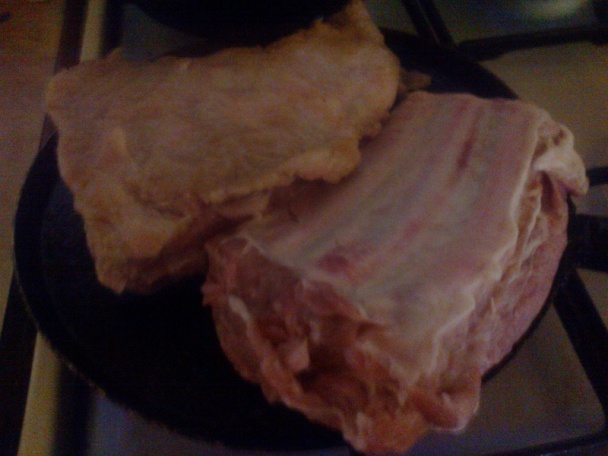 Zelo, knedlo, rebro (fotorecept) - obrázok 2