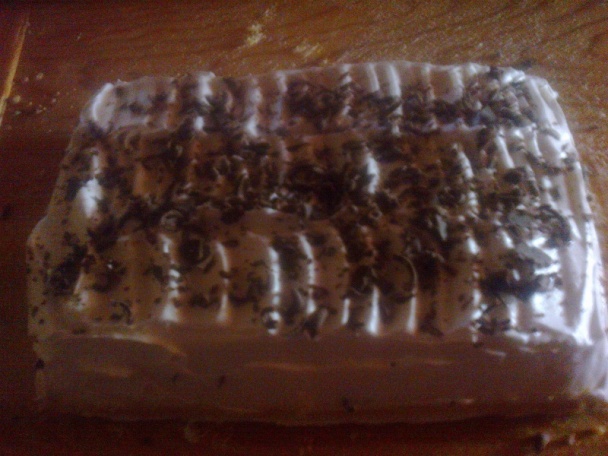 Snehulienka (fotorecept) - obrázok 7