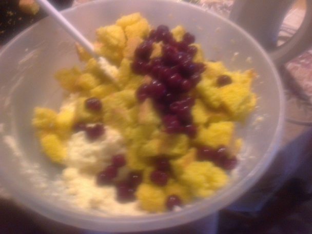 Višňové potešenie (fotorecept) - obrázok 8