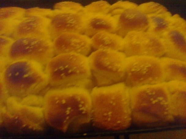 Materáke (fotorecept) - obrázok 11