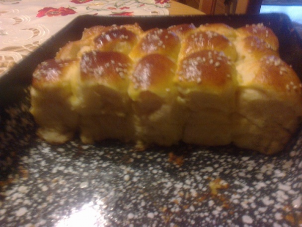 Materáke (fotorecept) - obrázok 12