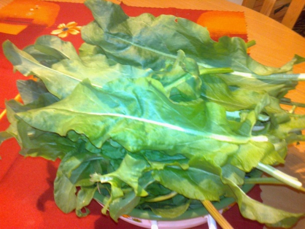 Zaváraný štiav, šťaveľ na zimu /fotorecept/ - obrázok 1