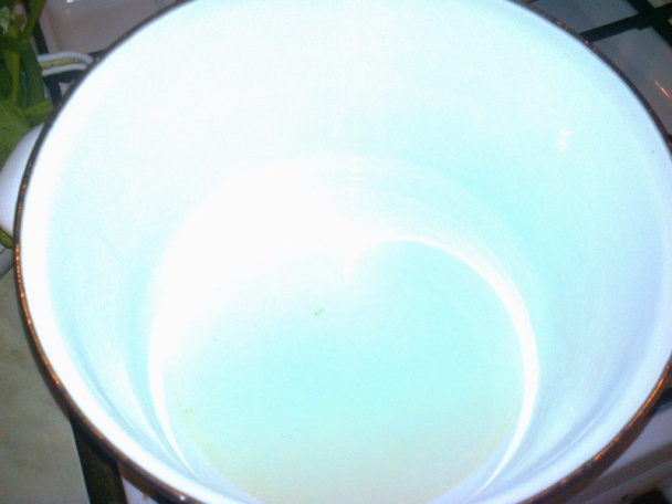 Zaváraný štiav, šťaveľ na zimu /fotorecept/ - obrázok 2