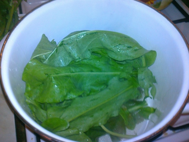 Zaváraný štiav, šťaveľ na zimu /fotorecept/ - obrázok 3