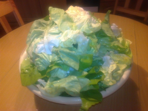 Hlávkový šalát zaváraný na zimu /fotorecept/ - obrázok 2