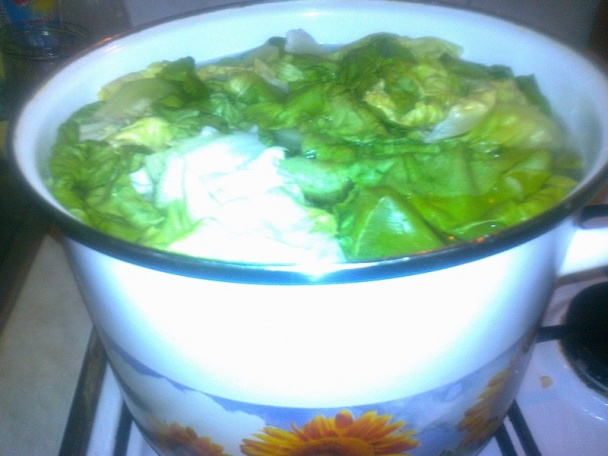 Hlávkový šalát zaváraný na zimu /fotorecept/ - obrázok 3