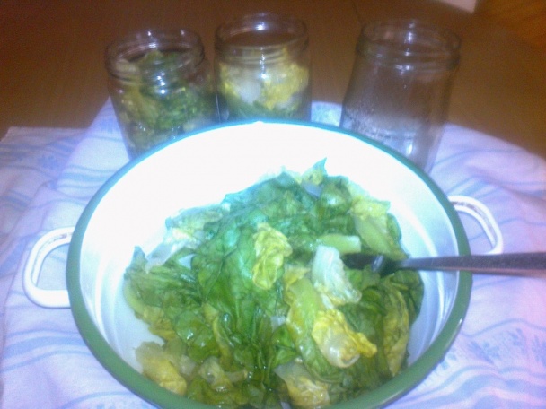 Hlávkový šalát zaváraný na zimu /fotorecept/ - obrázok 5