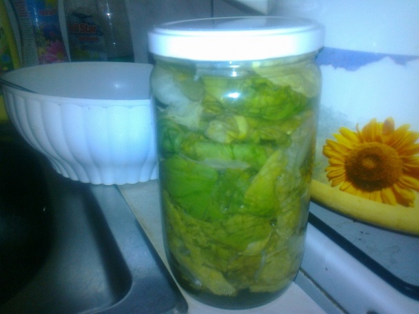 Hlávkový šalát zaváraný na zimu /fotorecept/ - obrázok 7