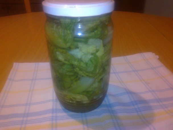 Hlávkový šalát zaváraný na zimu /fotorecept/ - obrázok 11