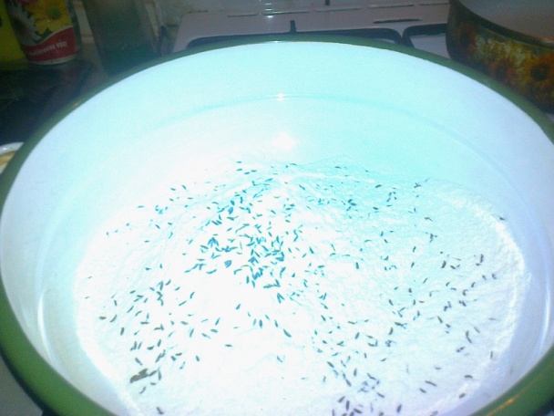 Zapletaný zemiakový lángoš (fotorecept) - obrázok 2