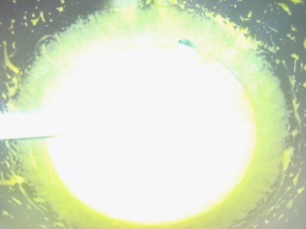 Krehké ríbezľové rezy (fotorecept) - obrázok 6