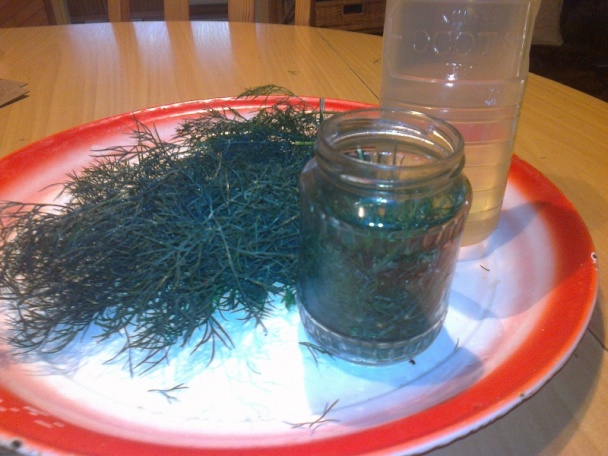 Kôpor v octe na zimu (fotorecept) - obrázok 2