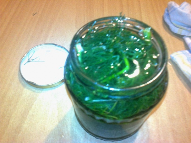 Kôpor v octe na zimu (fotorecept) - obrázok 3