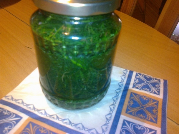 Kôpor v octe na zimu (fotorecept) - obrázok 4