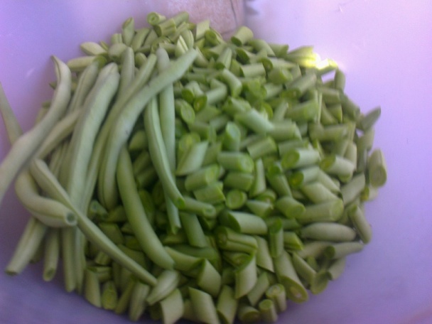 Zaváraná fazuľka s kôprom na zimu /fotorecept/ - obrázok 4