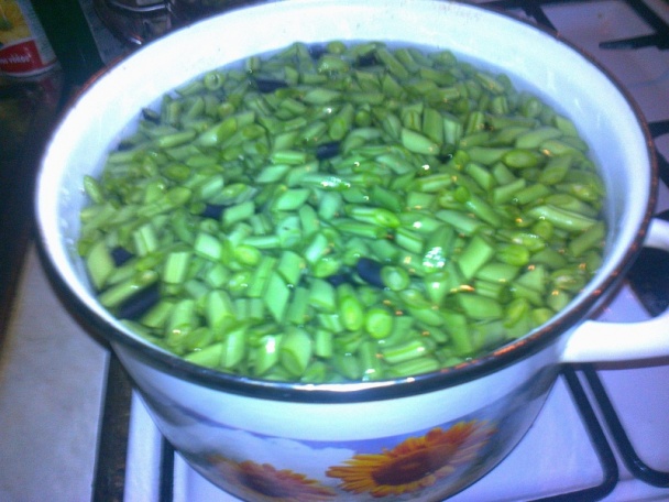 Zaváraná fazuľka s kôprom na zimu /fotorecept/ - obrázok 6