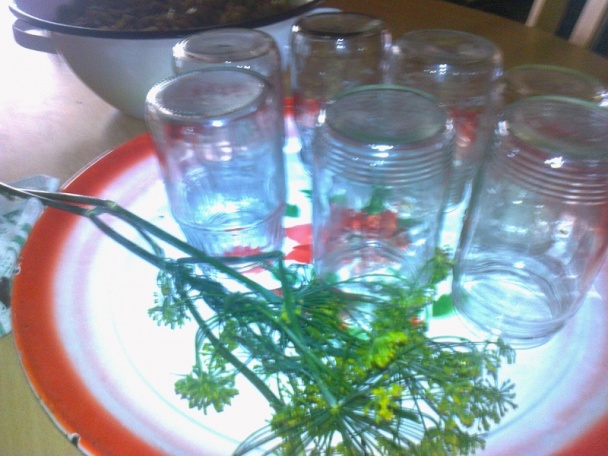 Zaváraná fazuľka s kôprom na zimu /fotorecept/ - obrázok 7