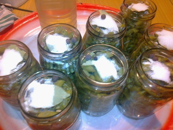 Zaváraná fazuľka s kôprom na zimu /fotorecept/ - obrázok 8