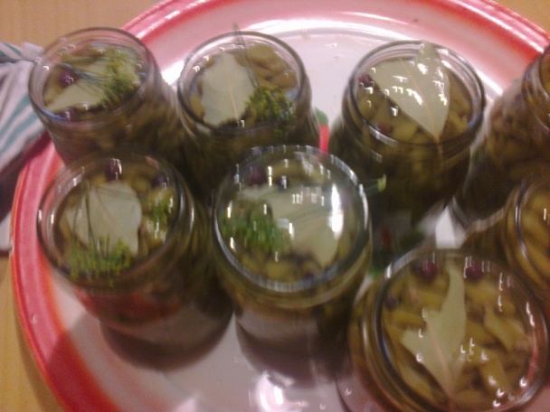 Zaváraná fazuľka s kôprom na zimu /fotorecept/ - obrázok 9