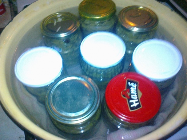 Zaváraná fazuľka s kôprom na zimu /fotorecept/ - obrázok 10