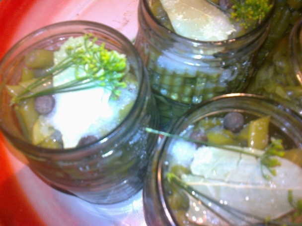 Zaváraná fazuľka s kôprom na zimu /fotorecept/ - obrázok 11