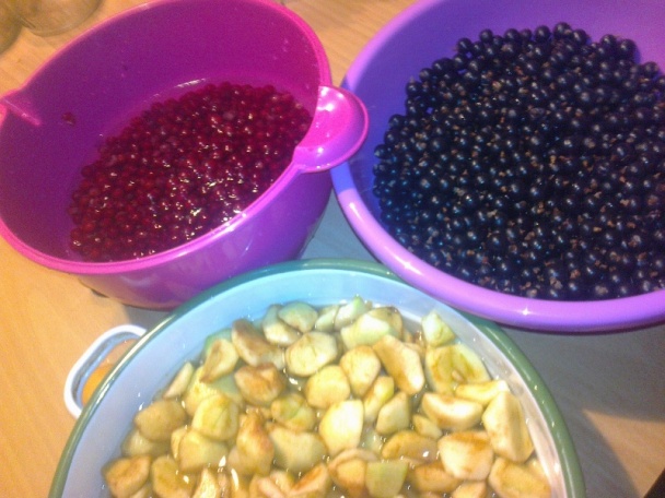 Dvojfarebné jablkovo-ríbezlové kompoty /fotorecept/ - obrázok 2