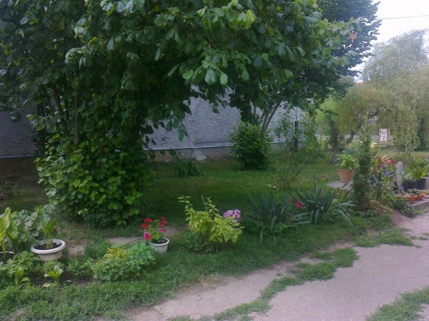 Orieškovo-čokoládový zapletanec / fotorecept/ - obrázok 13