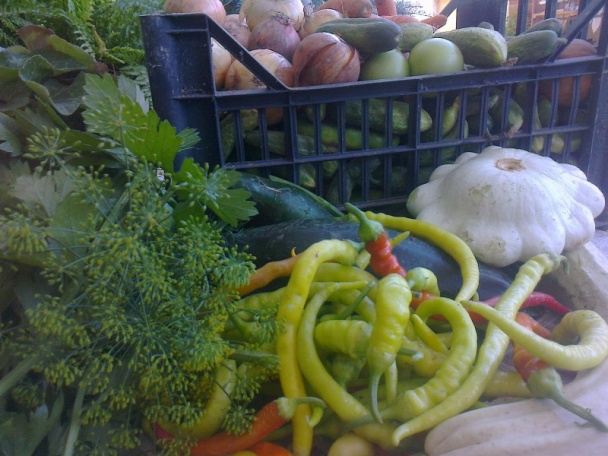 Zavárané uhorky ako ich robí Izka (fotorecept) - obrázok 1