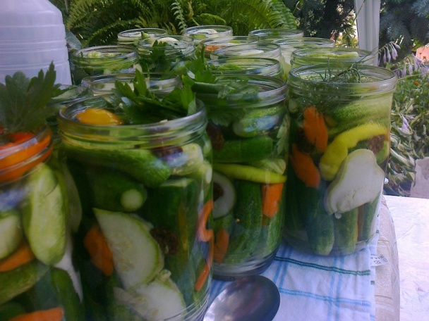 Zavárané uhorky ako ich robí Izka (fotorecept) - obrázok 4