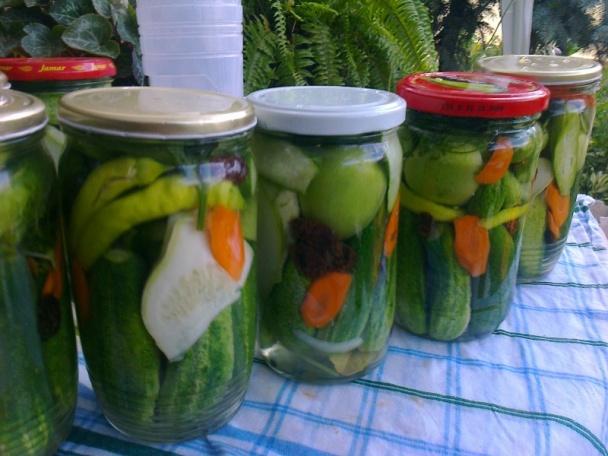 Zavárané uhorky ako ich robí Izka (fotorecept) - obrázok 5