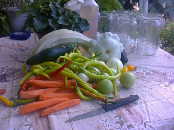 Zavárané uhorky ako ich robí Izka (fotorecept) - obrázok 3