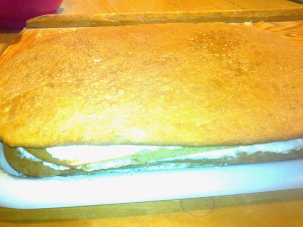 Paradajkové rezy (fotorecept) - obrázok 11