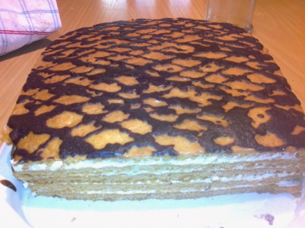 Paradajkové rezy (fotorecept) - obrázok 12