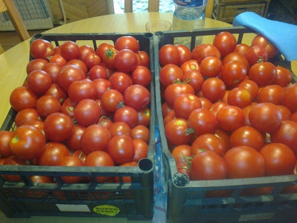 Paradajkový lekvár (fotorecept) - obrázok 1