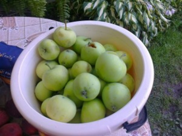 Jablkový čaj s vôňou medu a škorice - obrázok 1