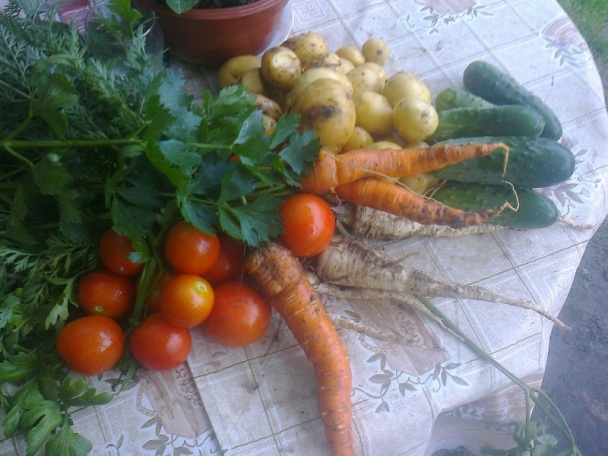 Rolovaná zapekaná domáca podbrušinka (fotorecept) - obrázok 5