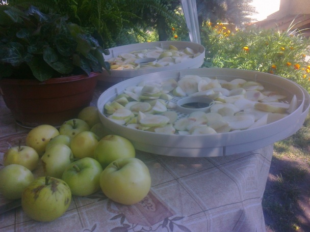 Jabĺčkové chipsy (fotorecept) - obrázok 1