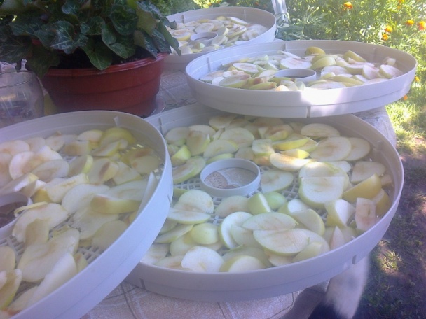 Jabĺčkové chipsy (fotorecept) - obrázok 2