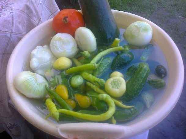 Cukinová čalamáda, alebo čo mi dnes záhrada dala /fotorecept/ - obrázok 2