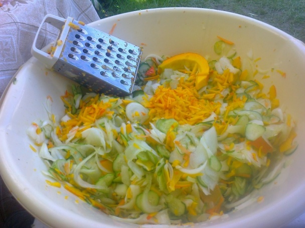 Cukinová čalamáda, alebo čo mi dnes záhrada dala /fotorecept/ - obrázok 3