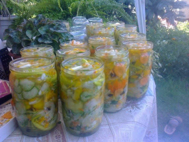 Cukinová čalamáda, alebo čo mi dnes záhrada dala /fotorecept/ - obrázok 6