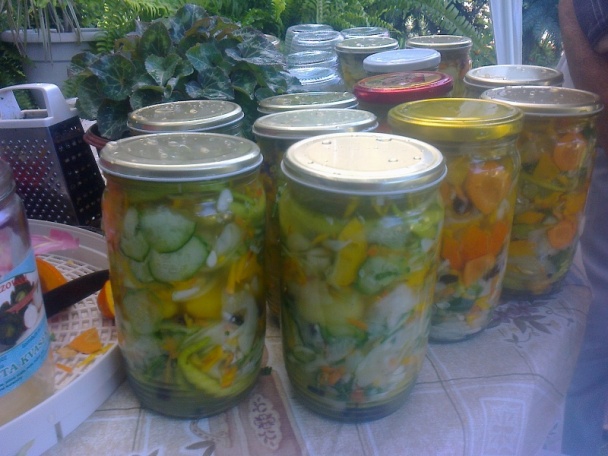 Cukinová čalamáda, alebo čo mi dnes záhrada dala /fotorecept/ - obrázok 7