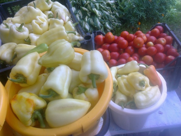 Lečo na zimu ako to robím ja (fotorecept) - obrázok 1