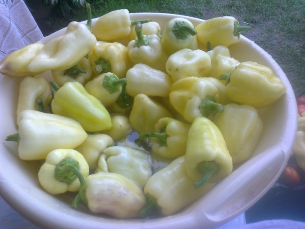 Lečo na zimu ako to robím ja (fotorecept) - obrázok 2