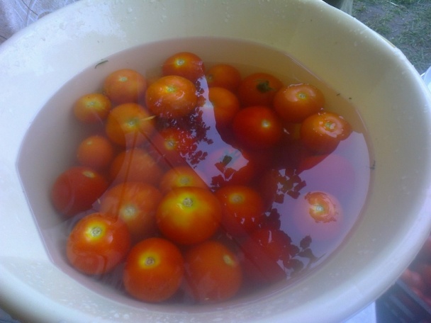 Lečo na zimu ako to robím ja (fotorecept) - obrázok 3