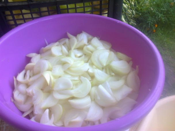 Lečo na zimu ako to robím ja (fotorecept) - obrázok 6